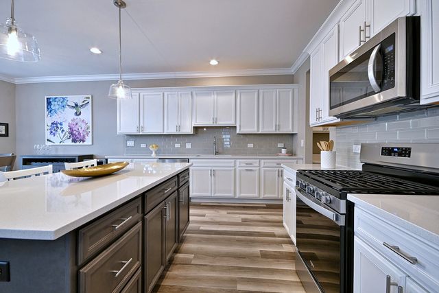 768 Eagle Court, Addison, IL 60101