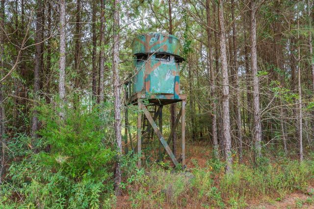 25727 FIFTH AVE, Florala, AL 36442