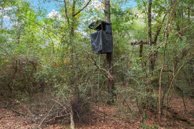 25727 FIFTH AVE, Florala, AL 36442