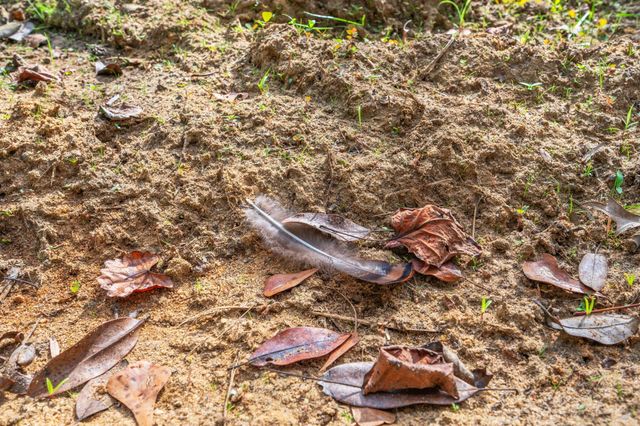 25727 FIFTH AVE, Florala, AL 36442