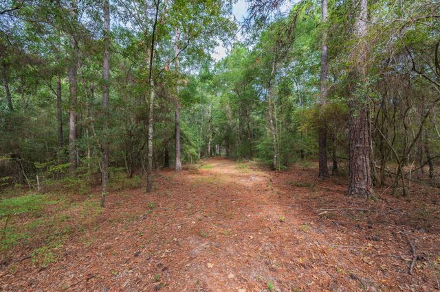 25727 FIFTH AVE, Florala, AL 36442