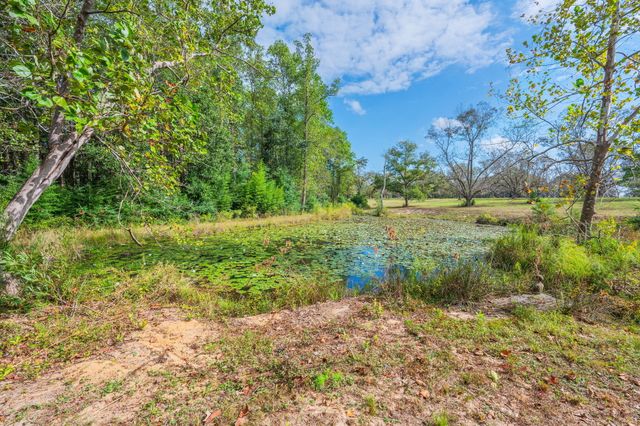 25727 FIFTH AVE, Florala, AL 36442