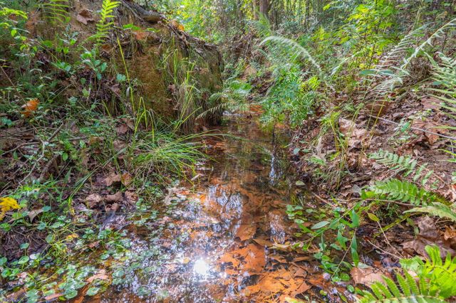 25727 FIFTH AVE, Florala, AL 36442