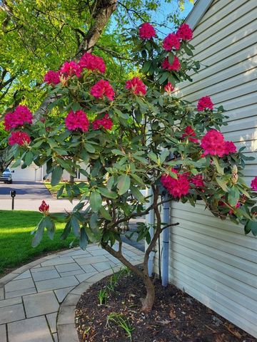 5444 Hale Avenue, Bethlehem City, PA 18017