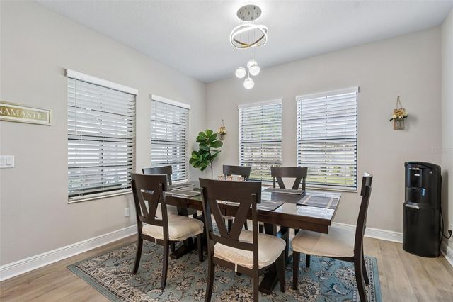 4300 BURDICK LOOP, Odessa, FL 33556