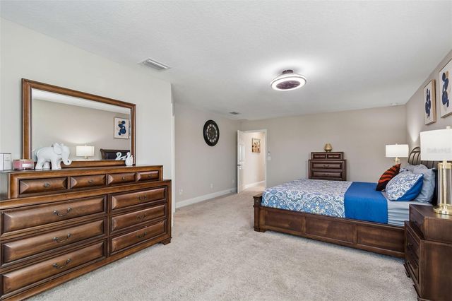 4300 BURDICK LOOP, Odessa, FL 33556