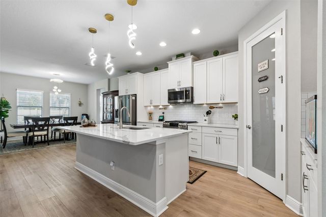 4300 BURDICK LOOP, Odessa, FL 33556