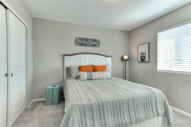 3550 Fennel Street, Castle Rock, CO 80109