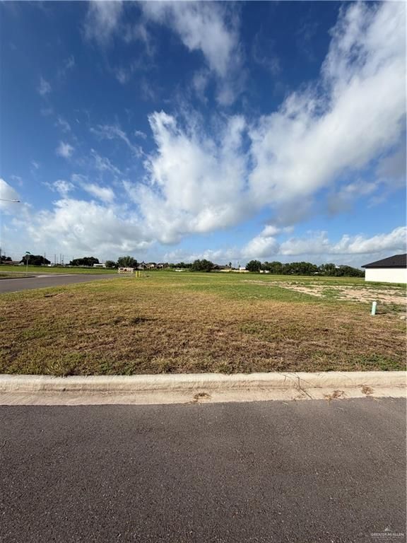 1608 Foxtail Street, Donna, TX 78537