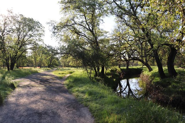 1318 Susan Cir, Roseville, CA 95661