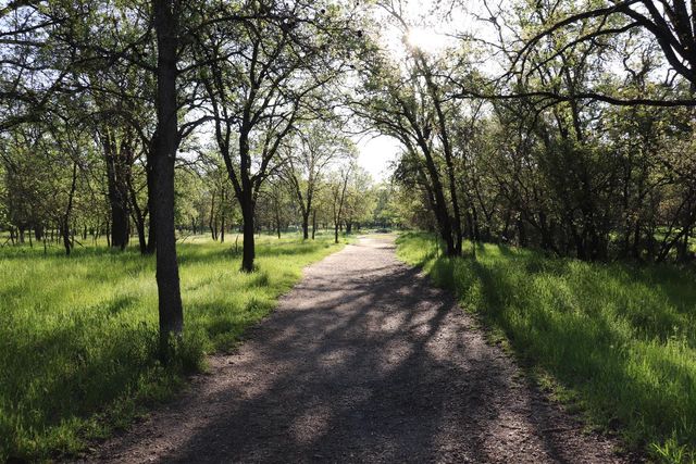 1318 Susan Cir, Roseville, CA 95661