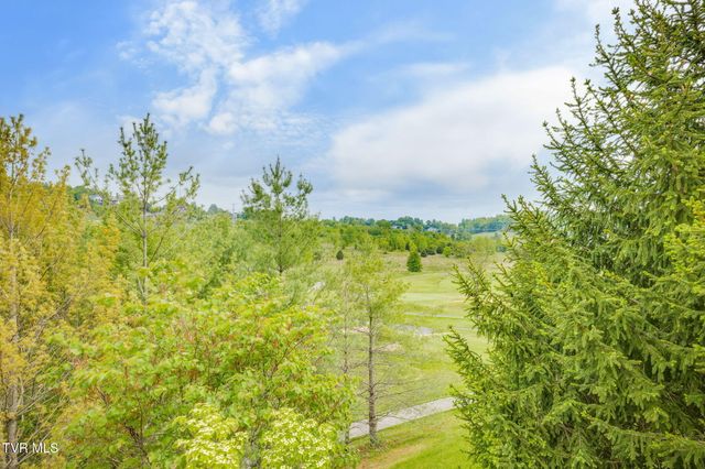 119 Quail Ridge Way, Jonesborough, TN 37659