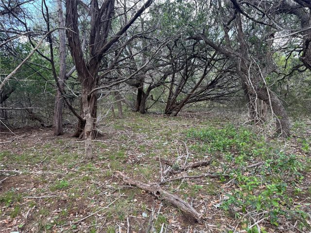 Lot 37 Riparian Elm RD, Bertram, TX 78605