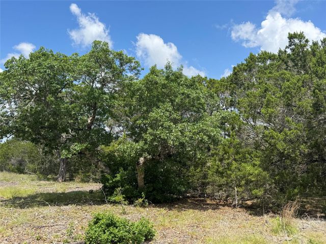 Lot 37 Riparian Elm RD, Bertram, TX 78605