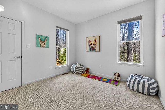 16199 COVEY CIR, Amissville, VA 20106