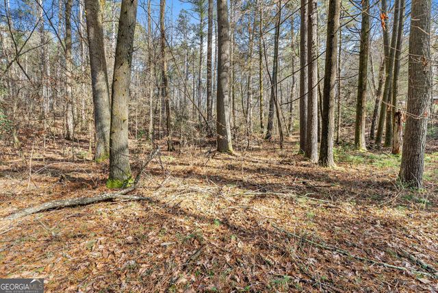 1036 Soque Wilderness Road, Clarkesville, GA 30523