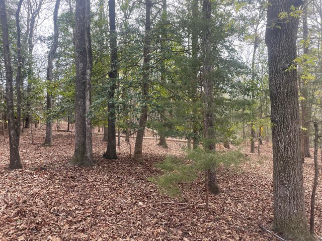 1321 Barnwell Drive, Sumter, SC 29154