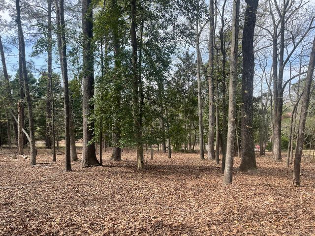 1321 Barnwell Drive, Sumter, SC 29154