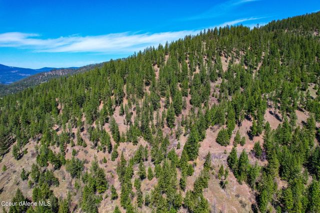 NNA Canary Creek Rd, Cataldo, ID 83810