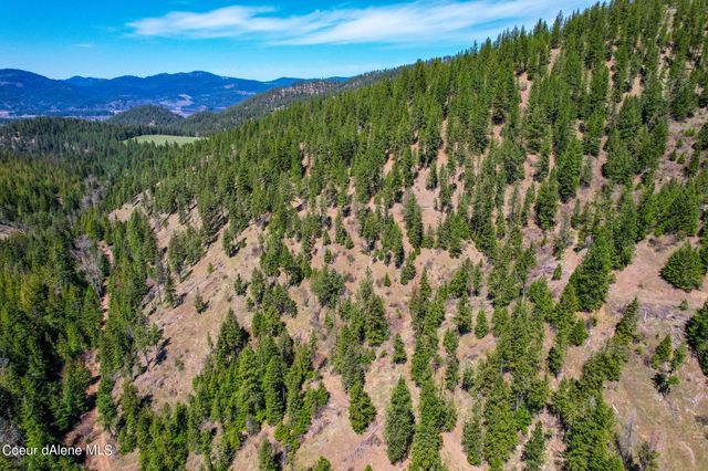 NNA Canary Creek Rd, Cataldo, ID 83810
