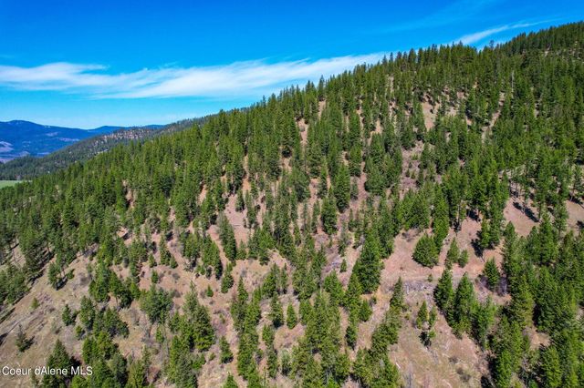 NNA Canary Creek Rd, Cataldo, ID 83810