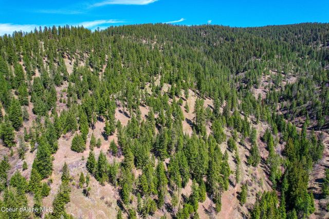 NNA Canary Creek Rd, Cataldo, ID 83810