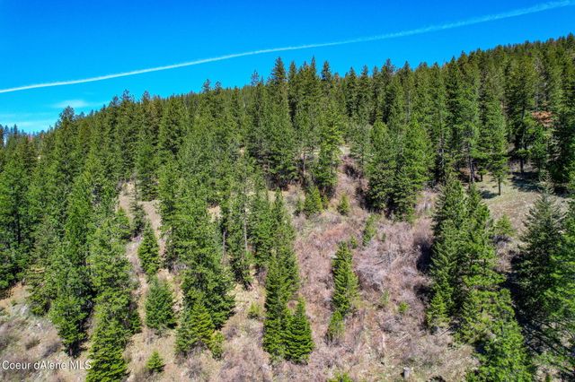 NNA Canary Creek Rd, Cataldo, ID 83810