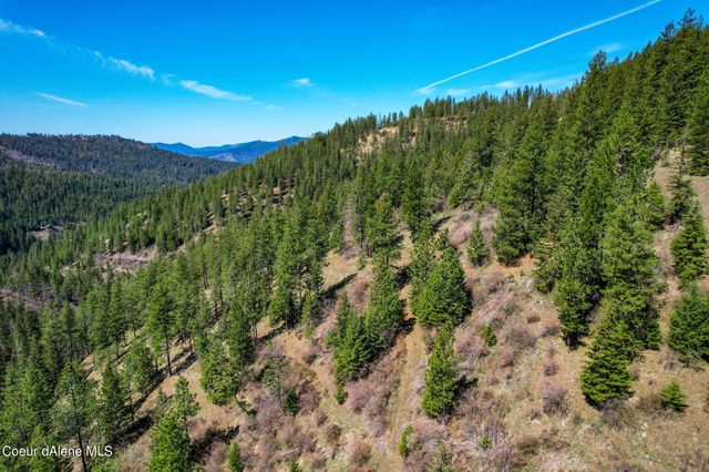 NNA Canary Creek Rd, Cataldo, ID 83810