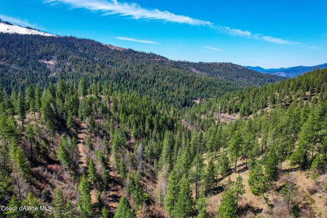 NNA Canary Creek Rd, Cataldo, ID 83810