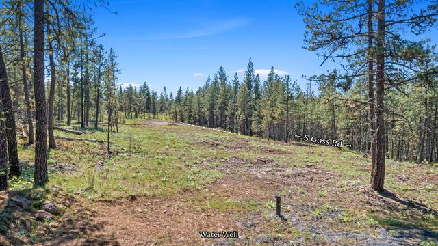 TBA S Goss Rd, Cheney, WA 99004