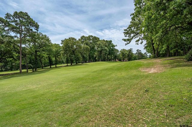 960 Greenbriar Trail, Holly Lake Ranch, TX 75765