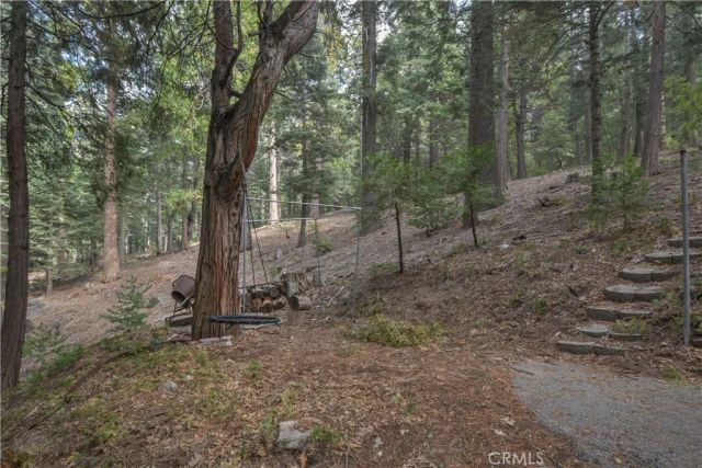 25907 Mile Pine, Twin Peaks, CA 92391