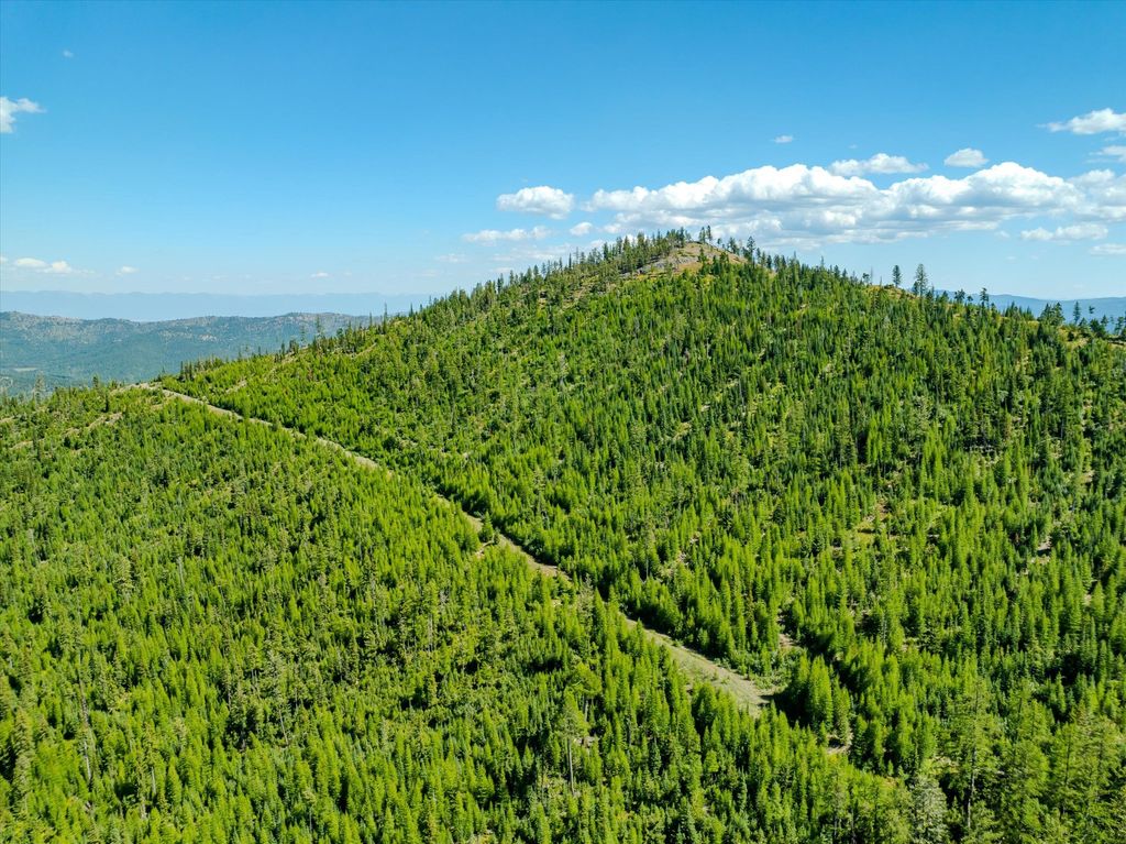 Nhn Ashley Lake Road, Kalispell, MT 59901 photo 23