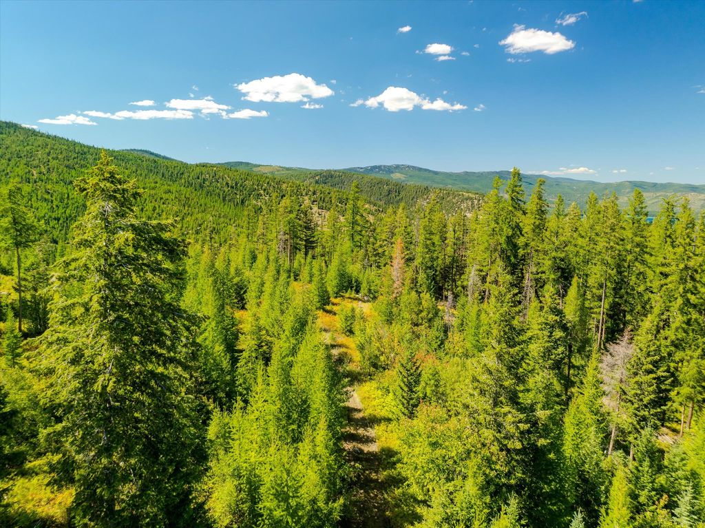 Nhn Ashley Lake Road, Kalispell, MT 59901 photo 4