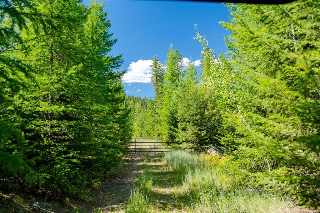Nhn Ashley Lake Road, Kalispell, MT 59901 photo 41
