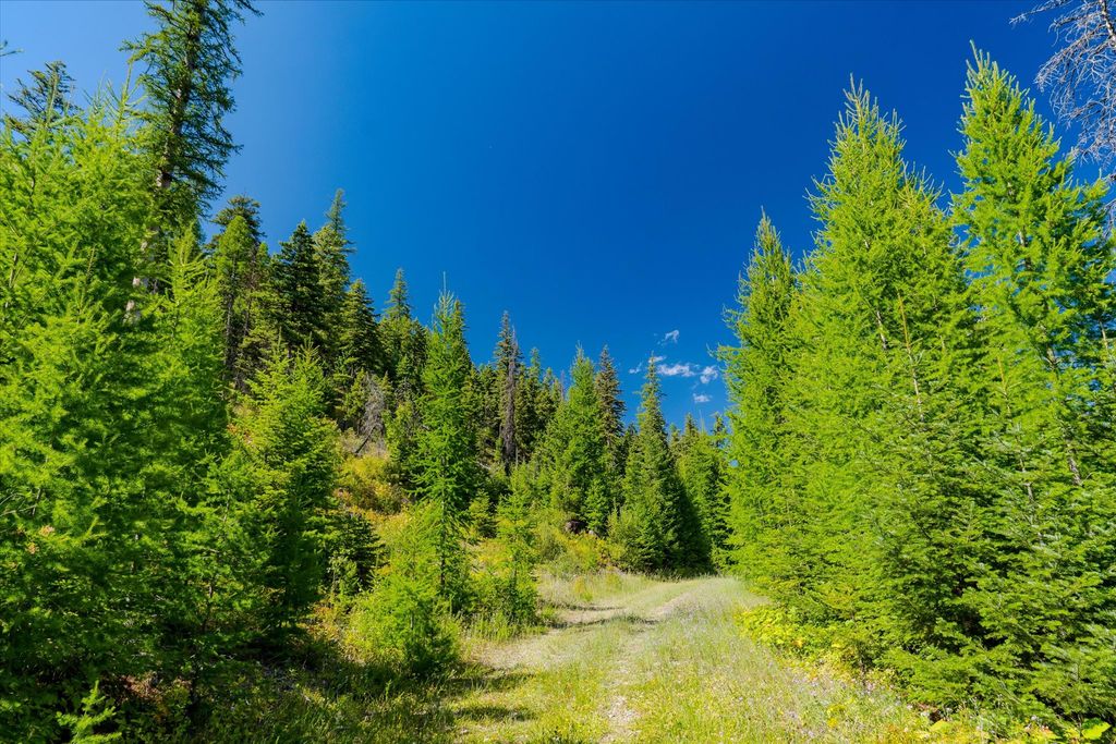 Nhn Ashley Lake Road, Kalispell, MT 59901 photo 42