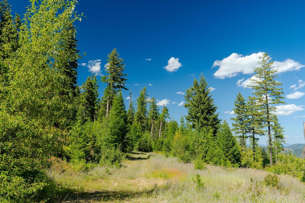 Nhn Ashley Lake Road, Kalispell, MT 59901 photo 44