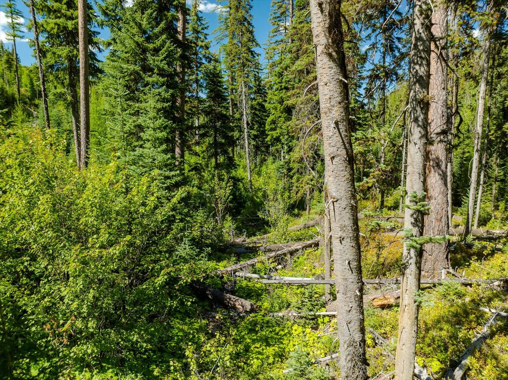 Nhn Ashley Lake Road, Kalispell, MT 59901 photo 48