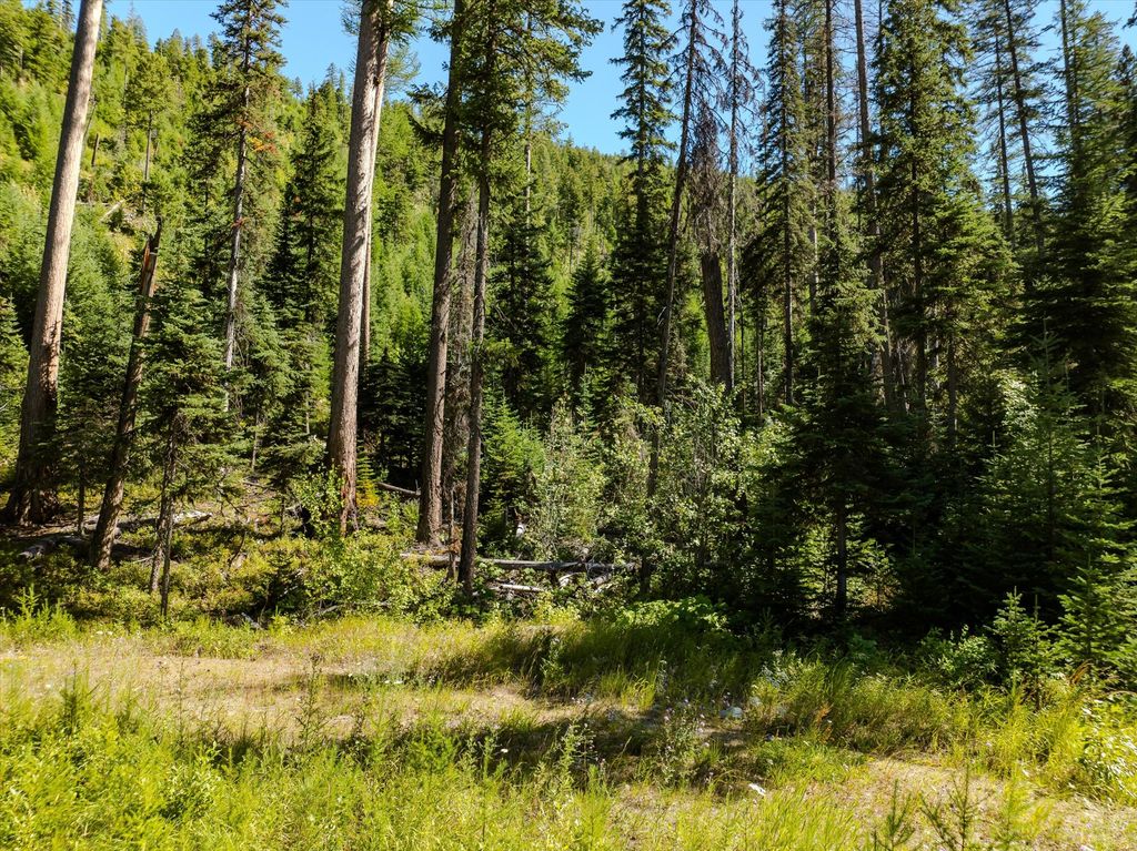 Nhn Ashley Lake Road, Kalispell, MT 59901 photo 49