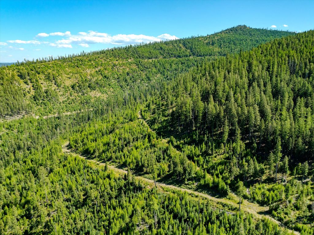 Nhn Ashley Lake Road, Kalispell, MT 59901 photo 8