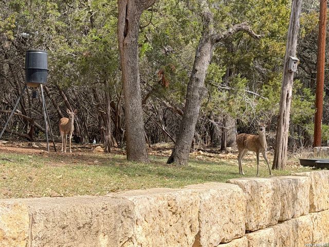 2872 Lakeview, Canyon Lake, TX 78133