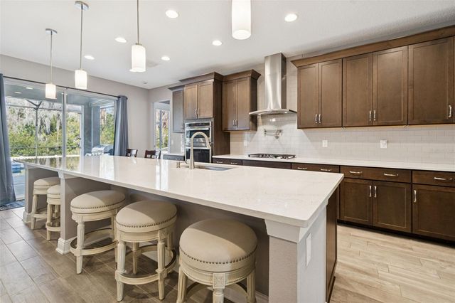 19328 EAGLE CREEK LANE, Tampa, FL 33647