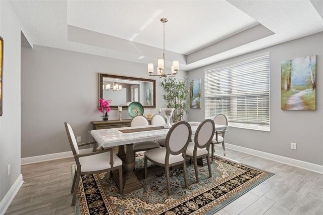 19328 EAGLE CREEK LANE, Tampa, FL 33647