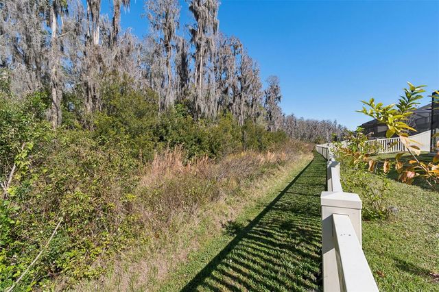 19328 EAGLE CREEK LANE, Tampa, FL 33647