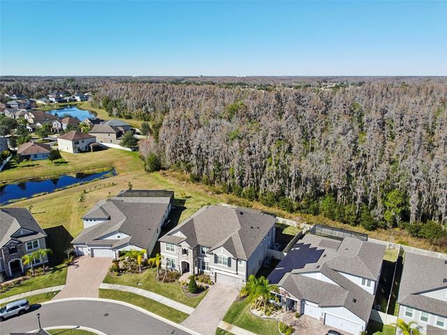 19328 EAGLE CREEK LANE, Tampa, FL 33647