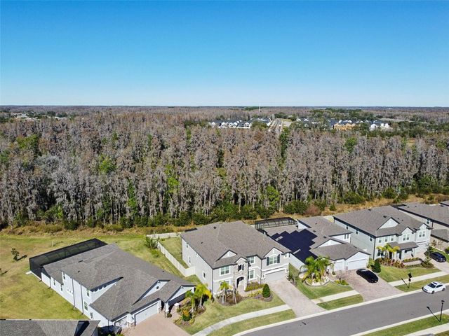 19328 EAGLE CREEK LANE, Tampa, FL 33647