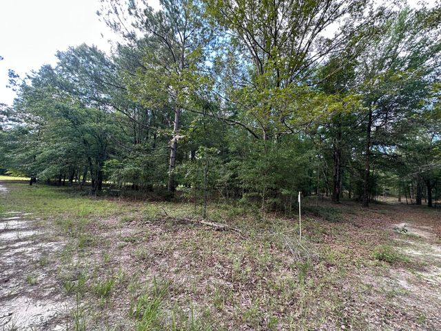 Lot E S Ga Highway 23, Waynesboro, GA 30830