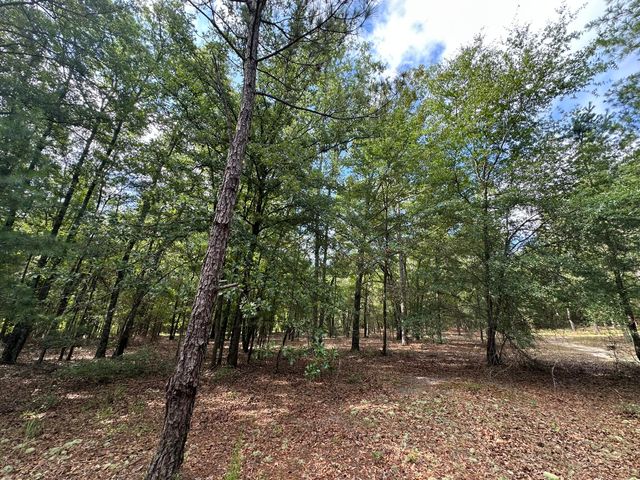 Lot E S Ga Highway 23, Waynesboro, GA 30830