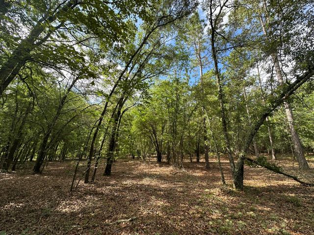 Lot E S Ga Highway 23, Waynesboro, GA 30830