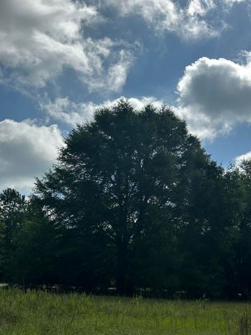 Lot E S Ga Highway 23, Waynesboro, GA 30830